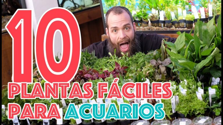 Parques con Estanques en Rota: Guía Completa