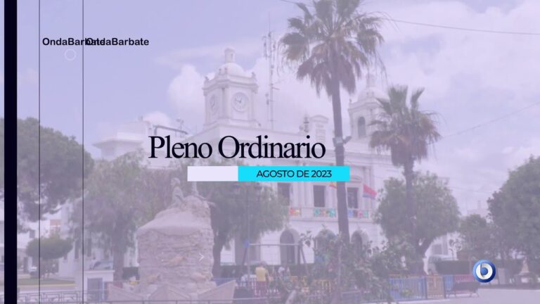 Academias de Violín en Barbate: Dónde Encontrarlas