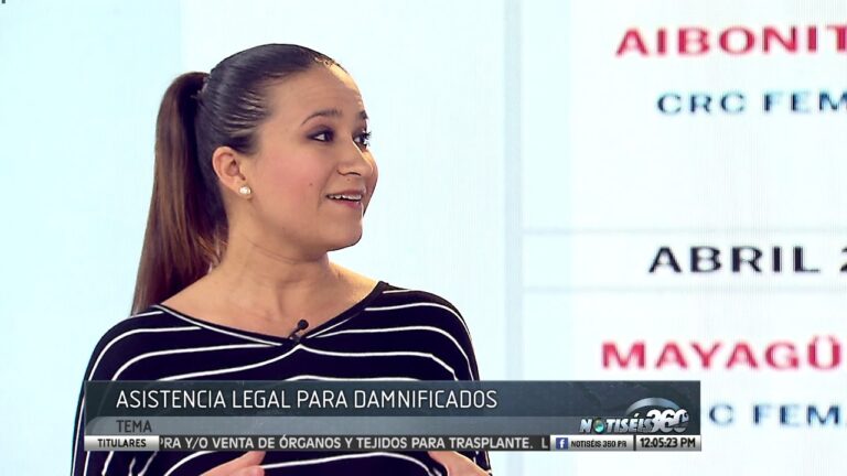 Asistencia Legal en Puerto Real: Gu&iacute;a de Recursos disponibles