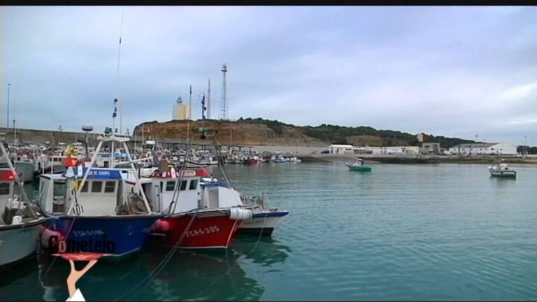 Guía de los Mejores Lugares para Comprar Pan Artesanal en Conil de la Frontera