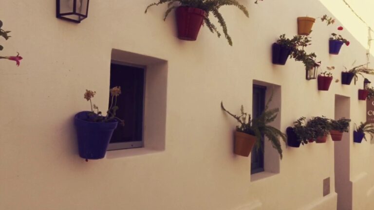 Los mejores lugares para disfrutar de un buen caf&eacute; en Conil de la Frontera