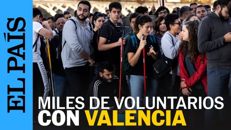 Asociaciones de Voluntariado en Puerto Real: Gu&iacute;a Completa