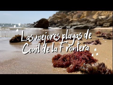 Mejores Zonas para Disfrutar del Ambiente Nocturno en Conil de la Frontera