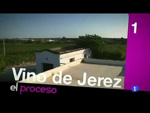 Catas de Aceite: Descubre Sanlúcar de Barrameda