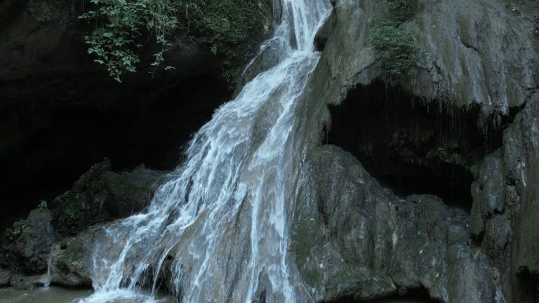 Parques Imperdibles en San Fernando
