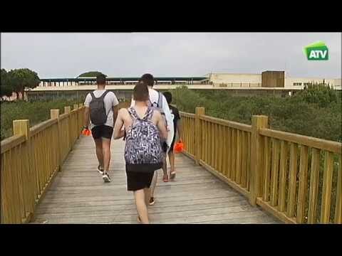 Aventura en El Puerto de Santa Mar&iacute;a: Mejores Destinos para Practicar Deportes