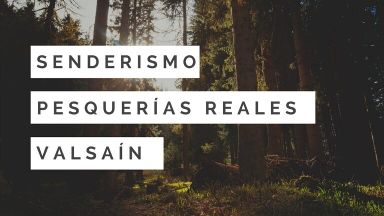 Rutas Guiadas Imperdibles en Puerto Real