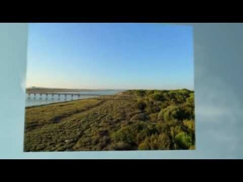 Ambiente Juvenil en Puerto Real: Una Exploraci&oacute;n Actual