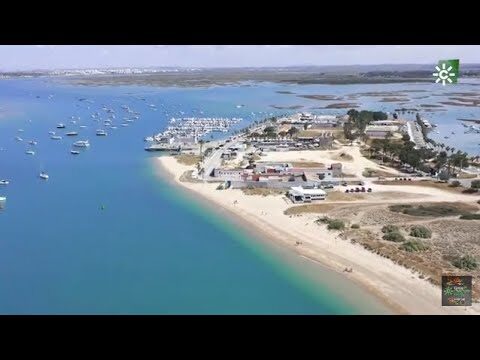 Ayuda para Pagar la Luz en Chiclana de la Frontera