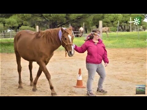 Actividades para Adolescentes en Puerto Real: Dónde Encontrarlas