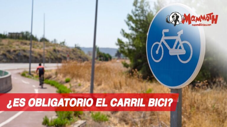 Normativas Esenciales para Tener un Perro en Rota