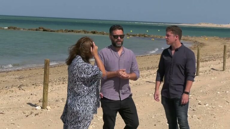 Playas para Perros Cerca de Chiclana de la Frontera