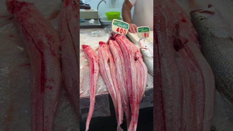 Explorando los Mercados de Sanl&uacute;car de Barrameda